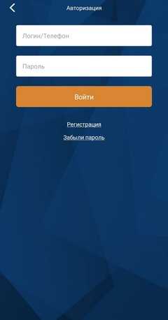 Авторизация в приложение Zenit на Android
